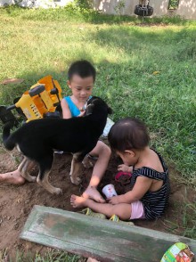 NHỮNG LỢI ÍCH KHI CHO TRẺ CHƠI VỚI THIÊN NHIÊN