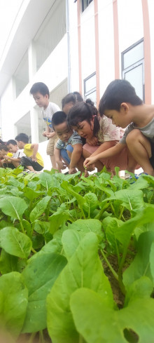 HOẠT ĐỘNG NGOÀI TRỜI LỚP A4