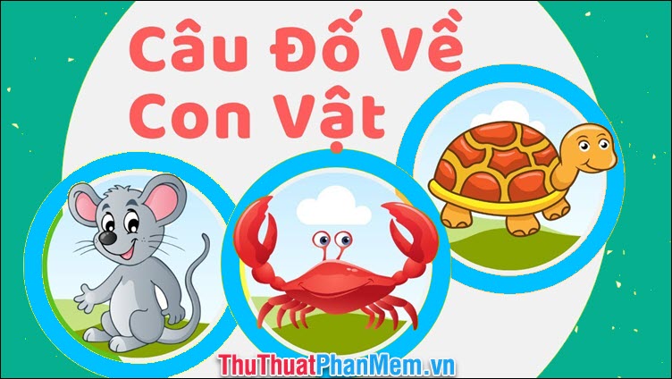 CÂU ĐỐ VỀ CON VẬT DÀNH CHO TRẺ MẦM NON