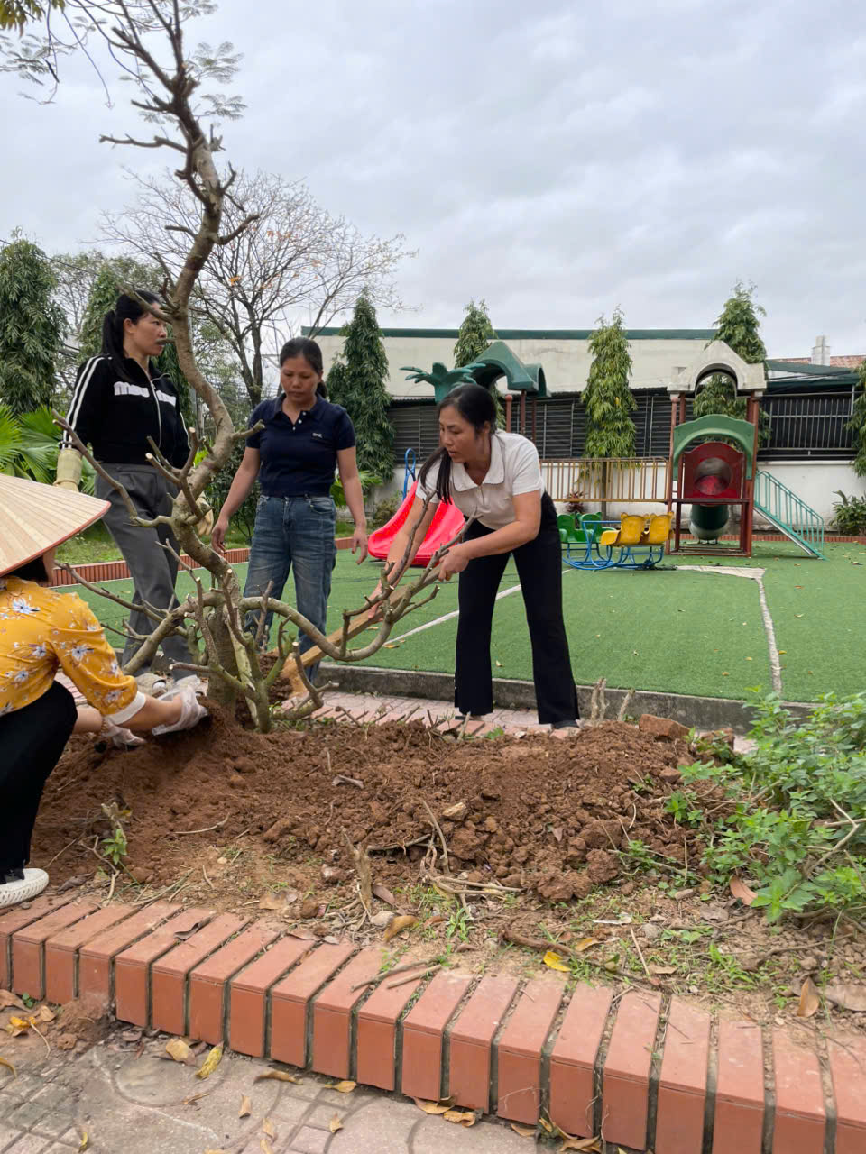 HƯỞNG ỨNG “TẾT TRỒNG CÂY” TẠI TRƯỜNG MẦM NON LIÊN CHÂU